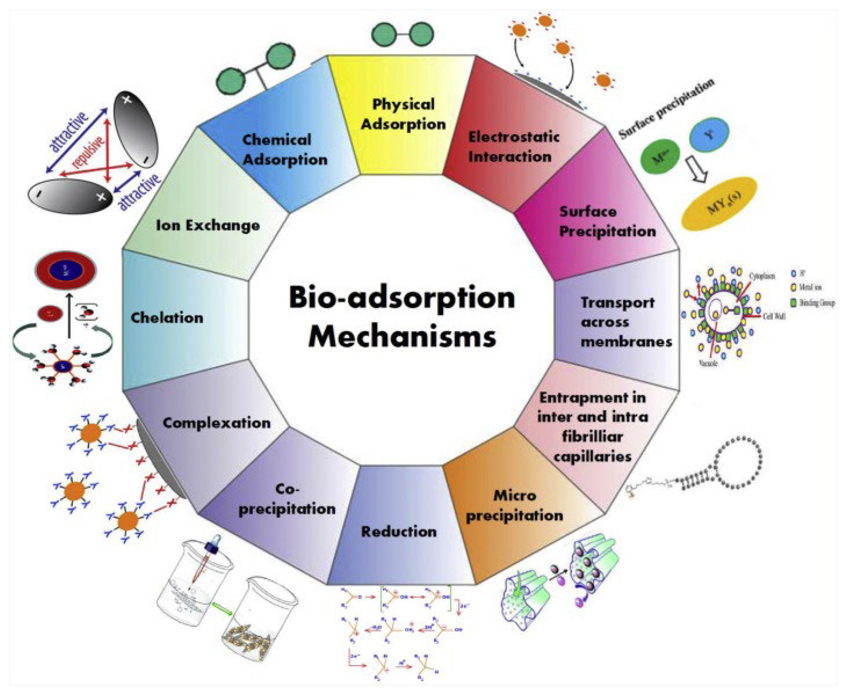 Processes 10 01154 g001