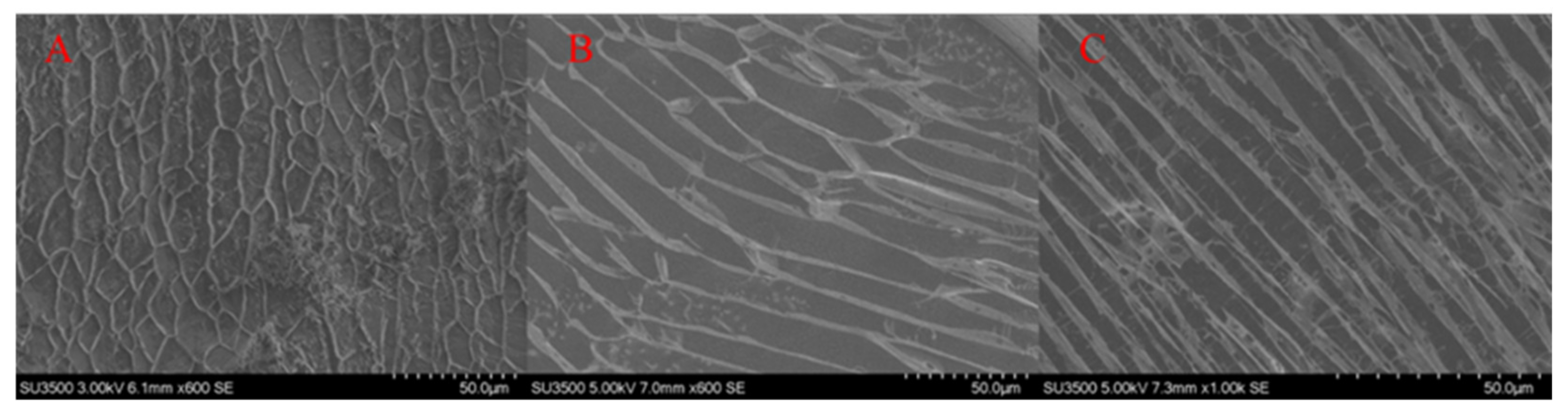 Processes 10 01165 g007 Processes 10 01165 g007