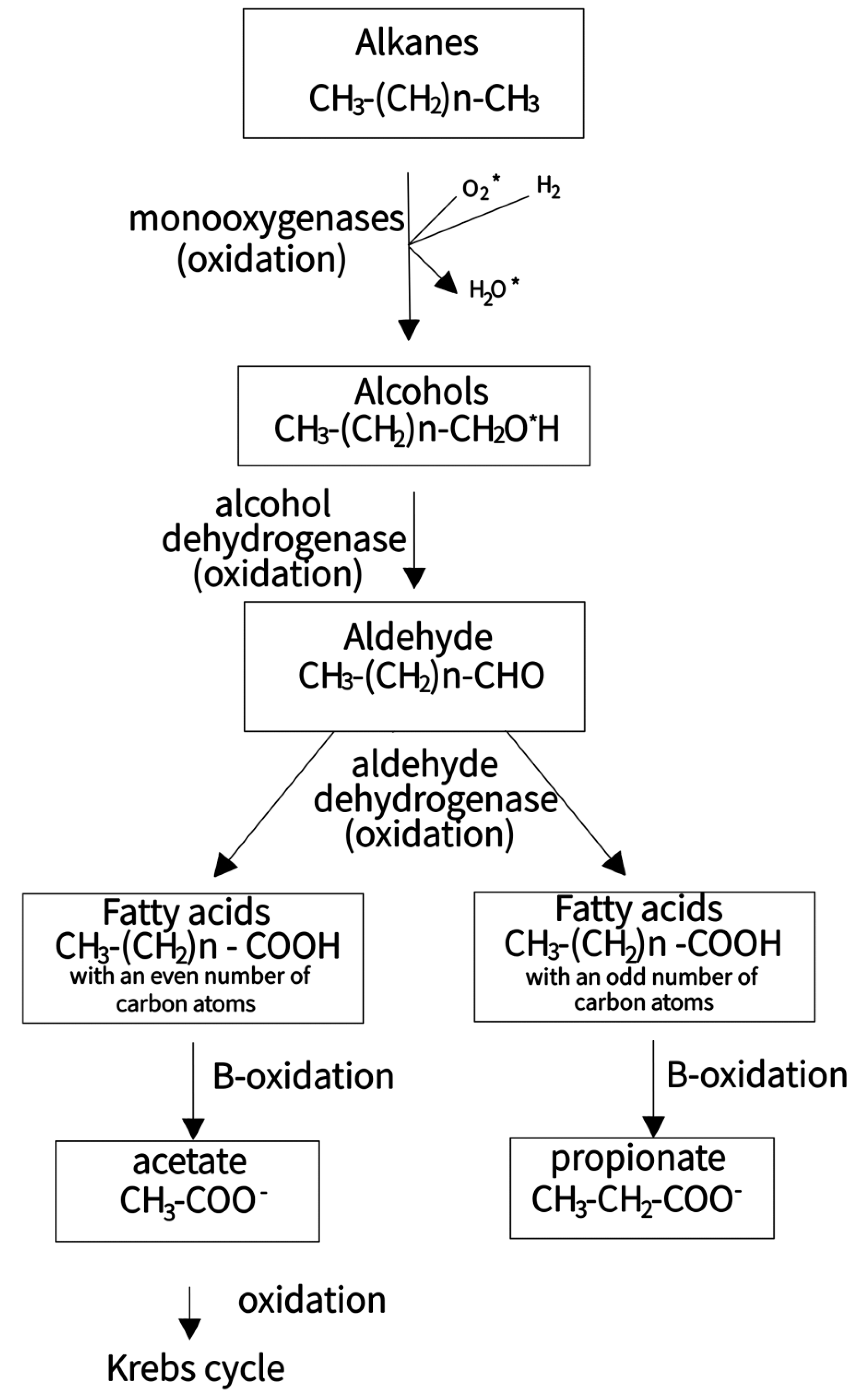 Processes 10 01224 g001