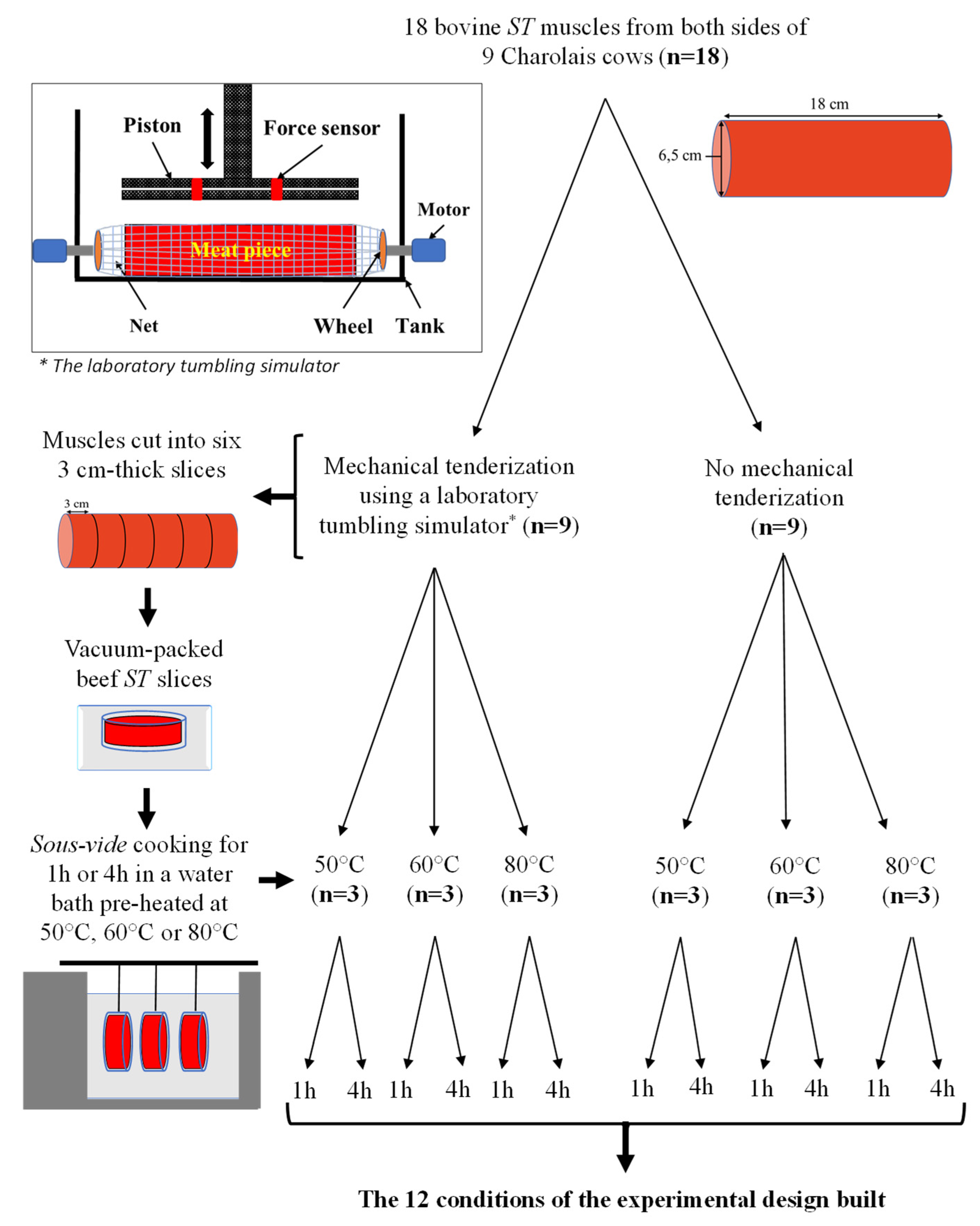 Processes 10 01229 g001