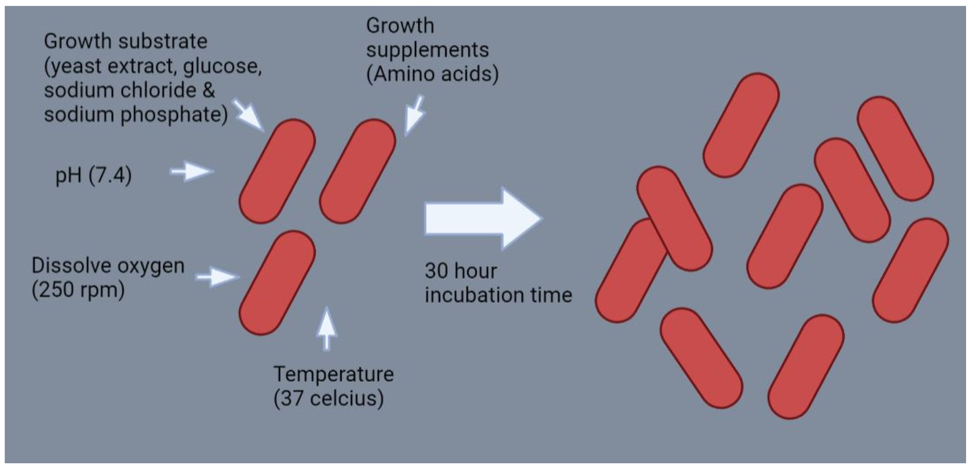 Processes 10 01248 g002 Processes 10 01248 g002