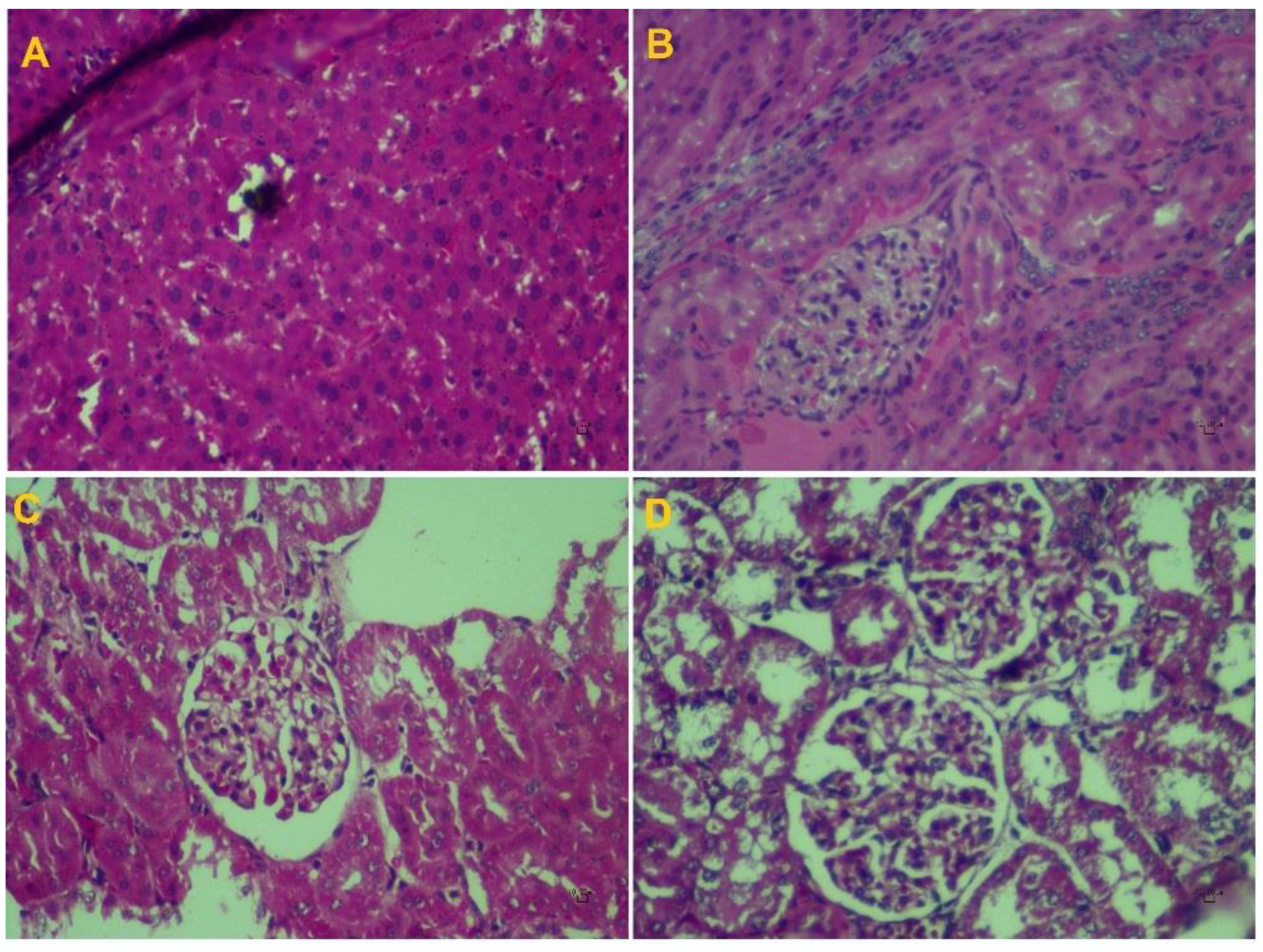 Processes 10 01286 g005