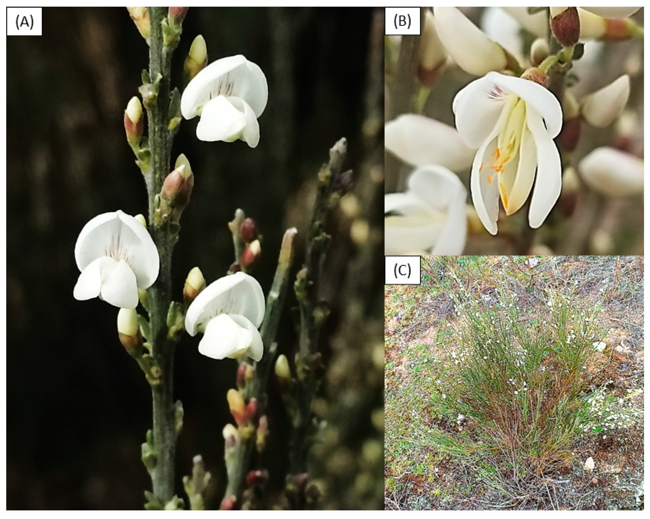 Processes 10 01287 g001