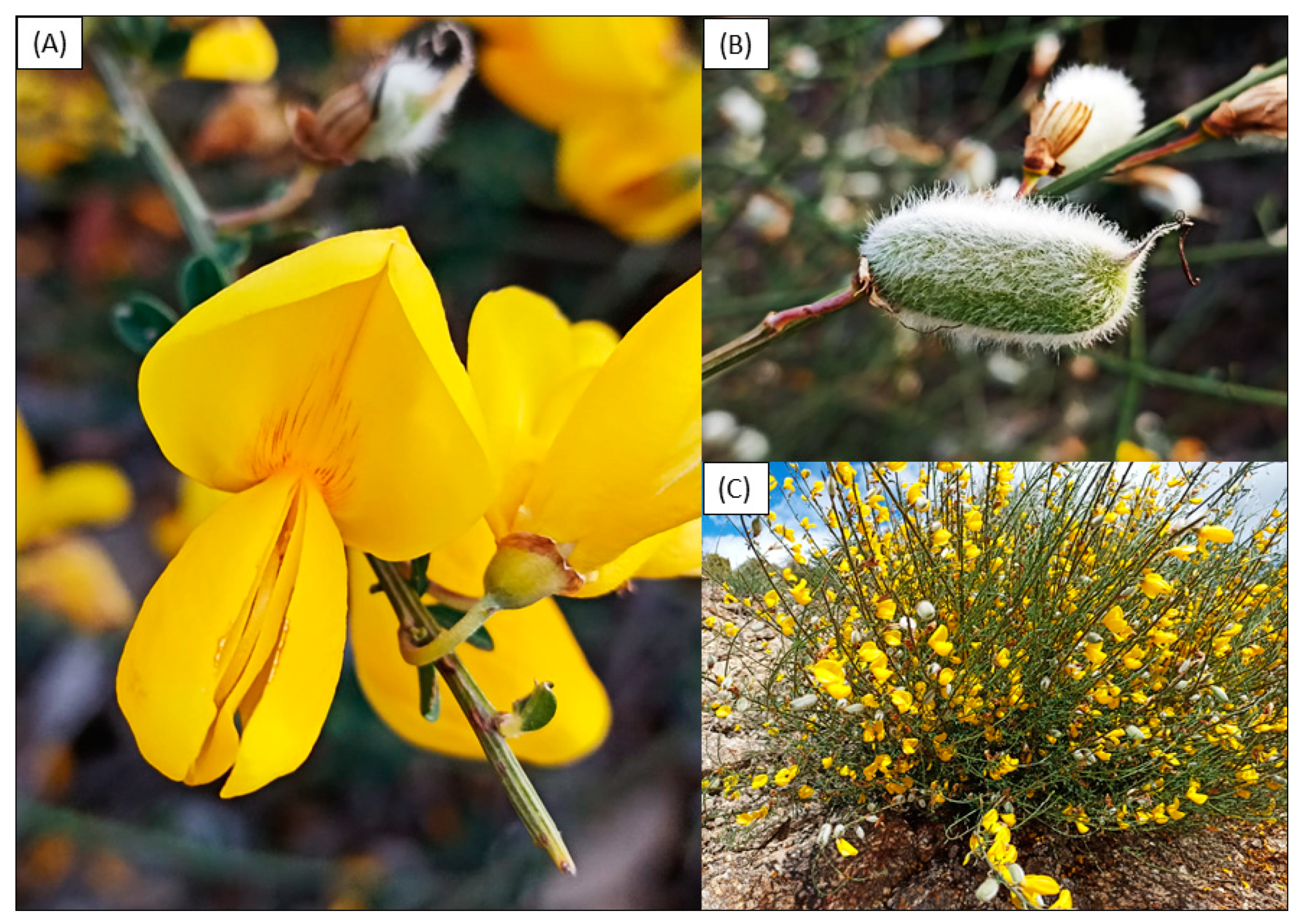 Processes 10 01287 g005