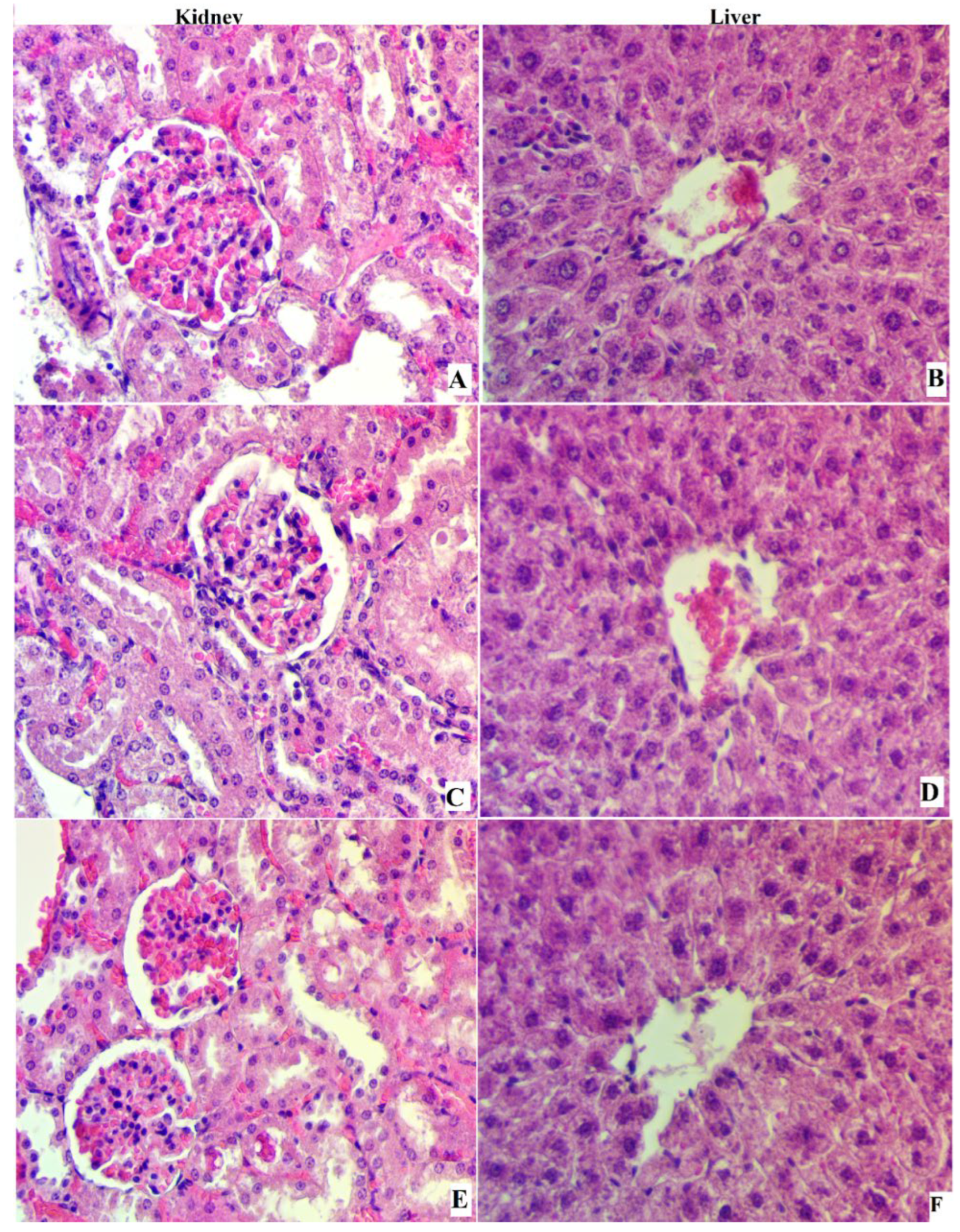 Processes 10 01314 g002