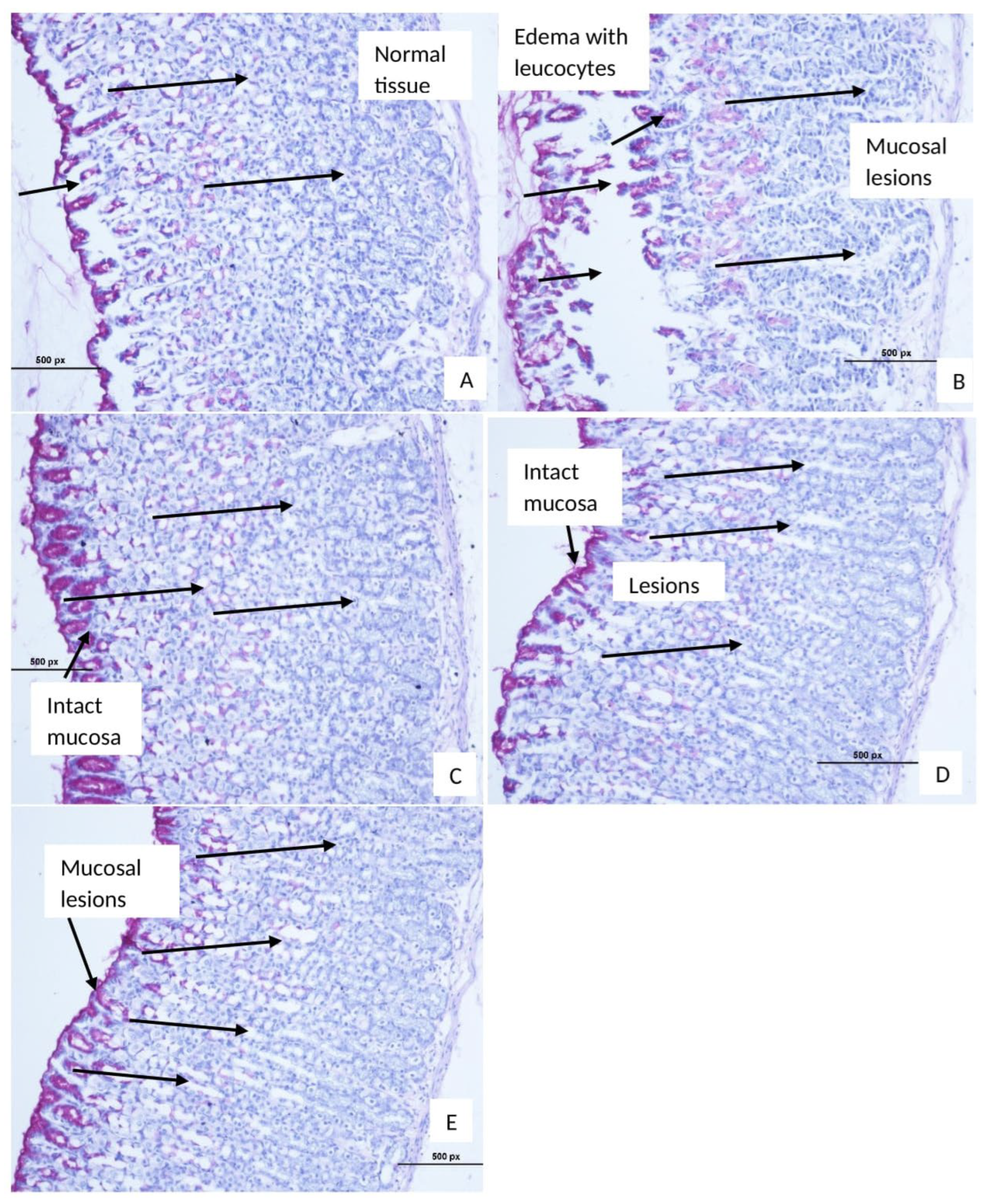 Processes 10 01314 g005