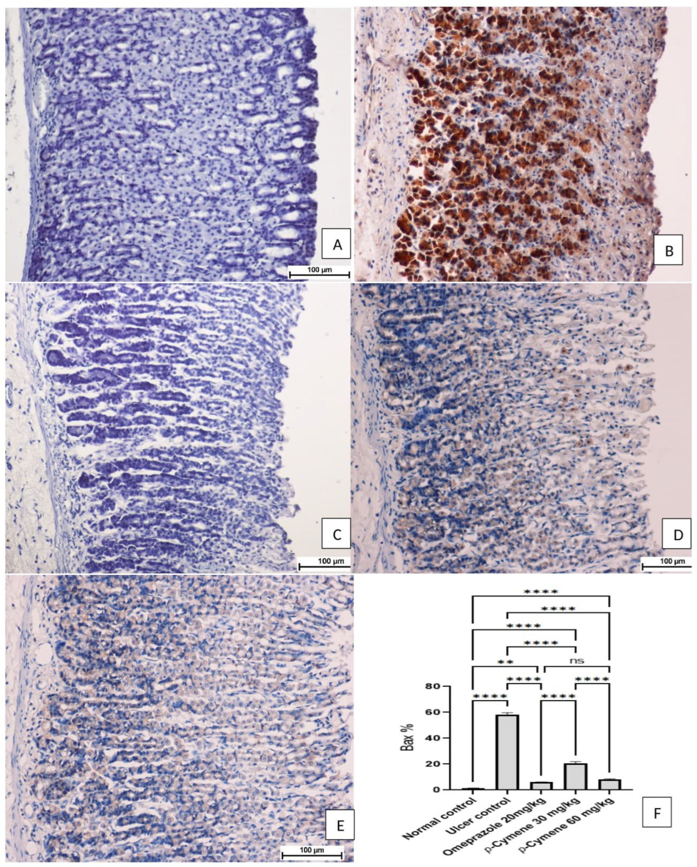 Processes 10 01314 g007