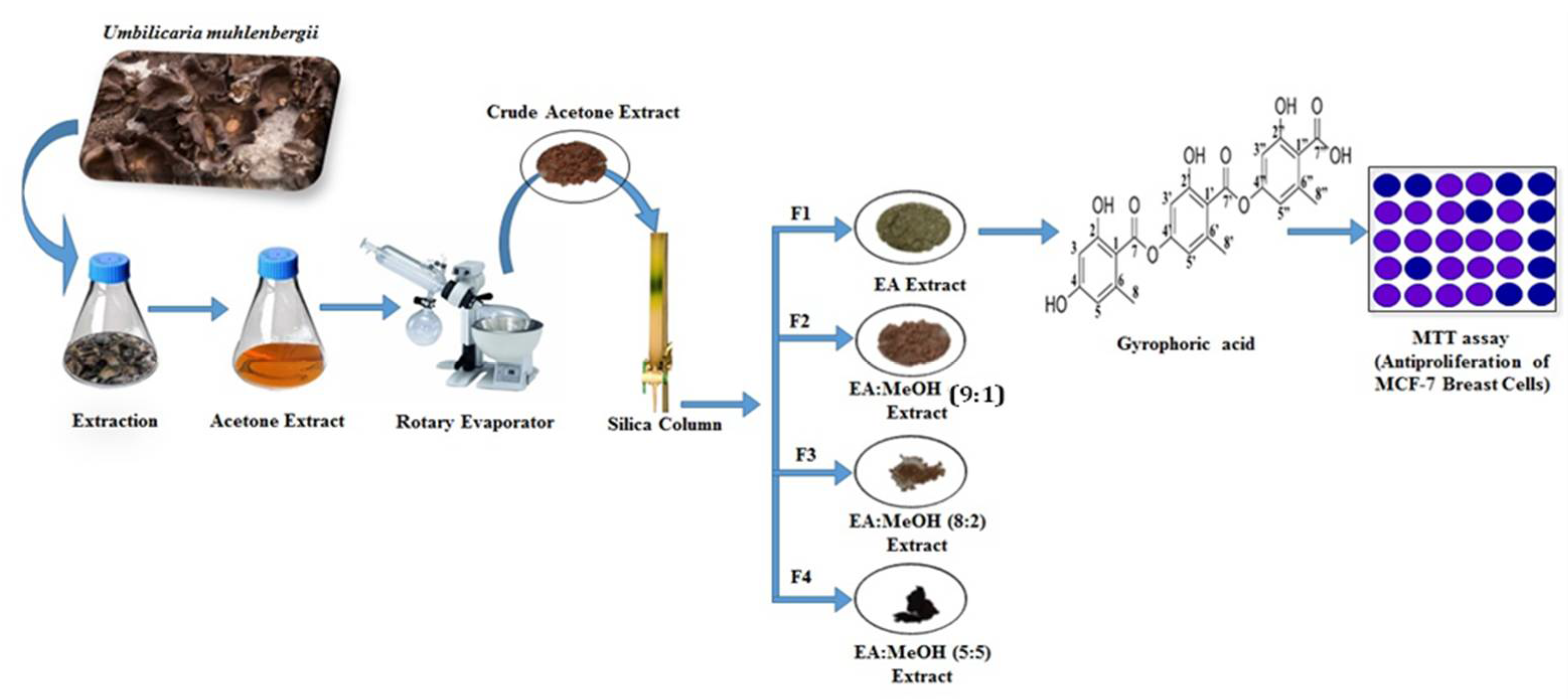 Processes 10 01361 g001