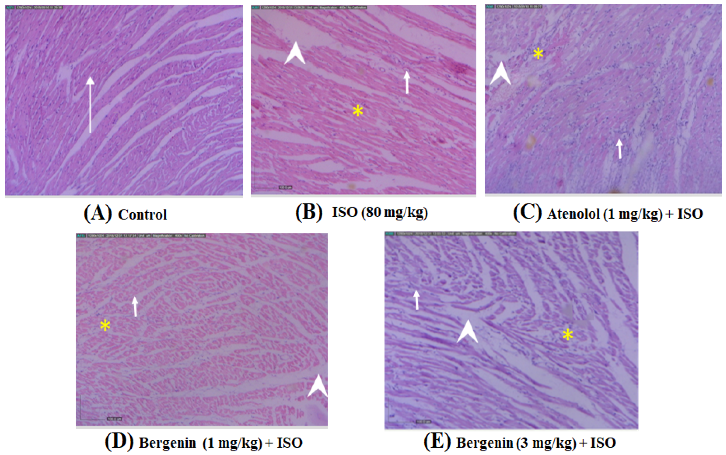 Processes 10 01403 g005