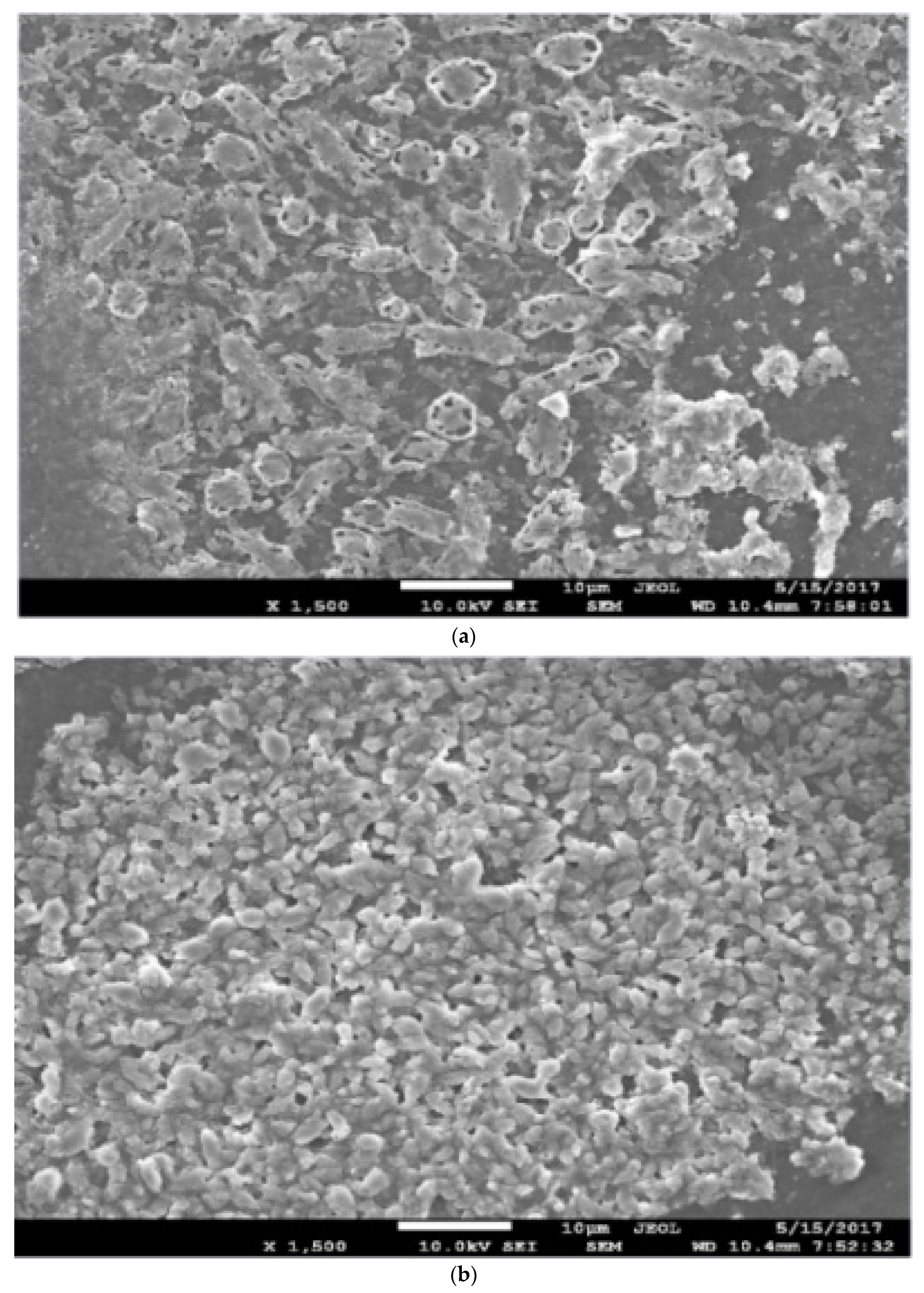 Processes 10 01483 g003 Processes 10 01483 g003