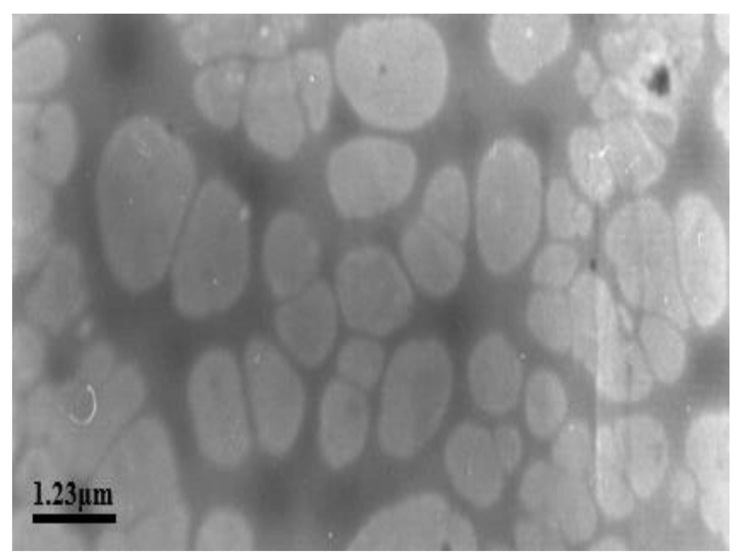 Processes 10 01485 g009