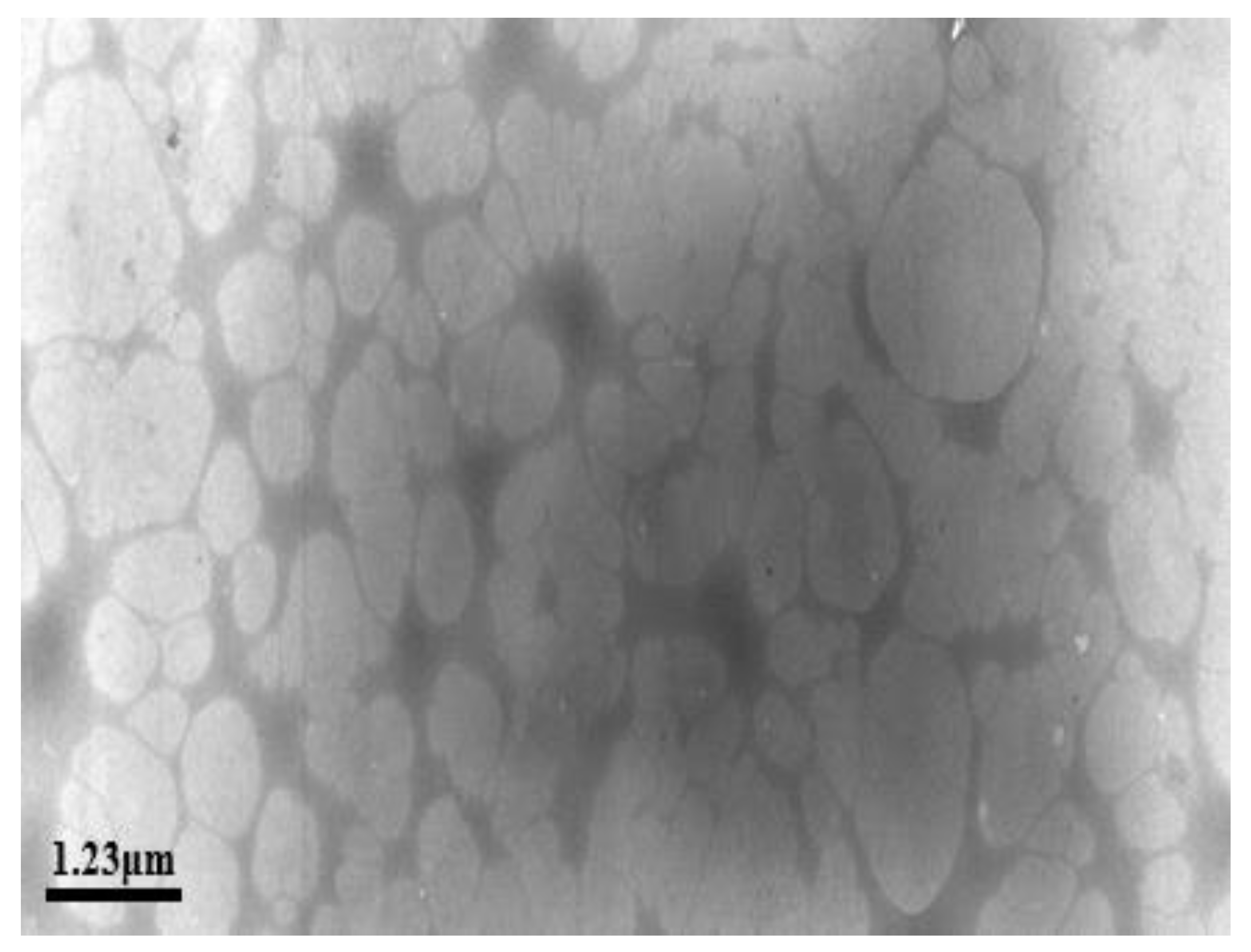 Processes 10 01485 g010