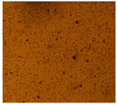 Processes 10 01521 i001 Processes 10 01521 i001