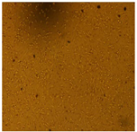 Processes 10 01521 i002 Processes 10 01521 i002