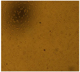 Processes 10 01521 i003 Processes 10 01521 i003