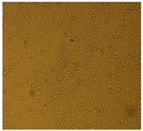 Processes 10 01521 i004 Processes 10 01521 i004
