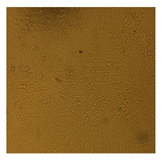 Processes 10 01521 i005 Processes 10 01521 i005