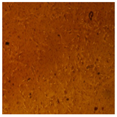 Processes 10 01521 i006 Processes 10 01521 i006