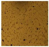 Processes 10 01521 i008 Processes 10 01521 i008