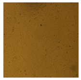 Processes 10 01521 i009 Processes 10 01521 i009