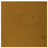 Processes 10 01521 i010 Processes 10 01521 i010