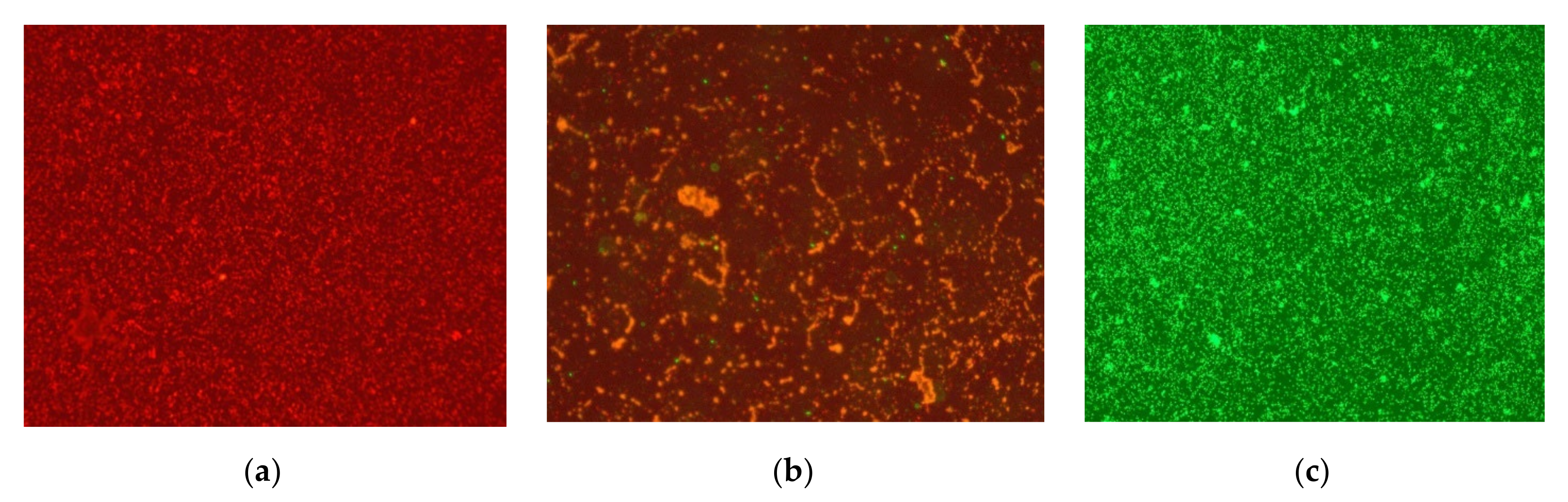 Processes 10 01536 g003