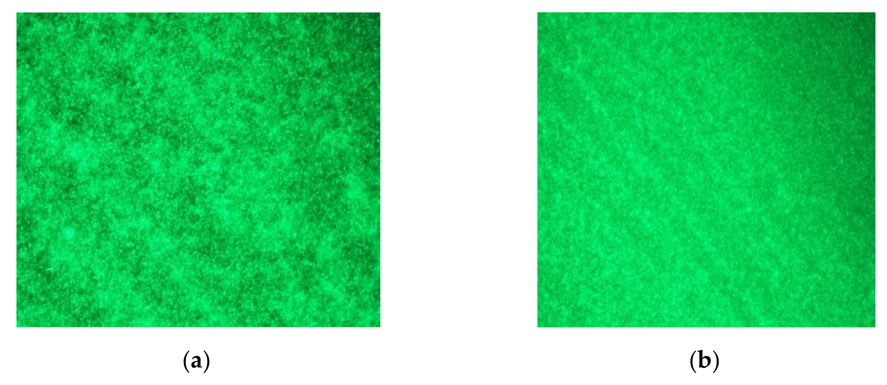 Processes 10 01536 g006