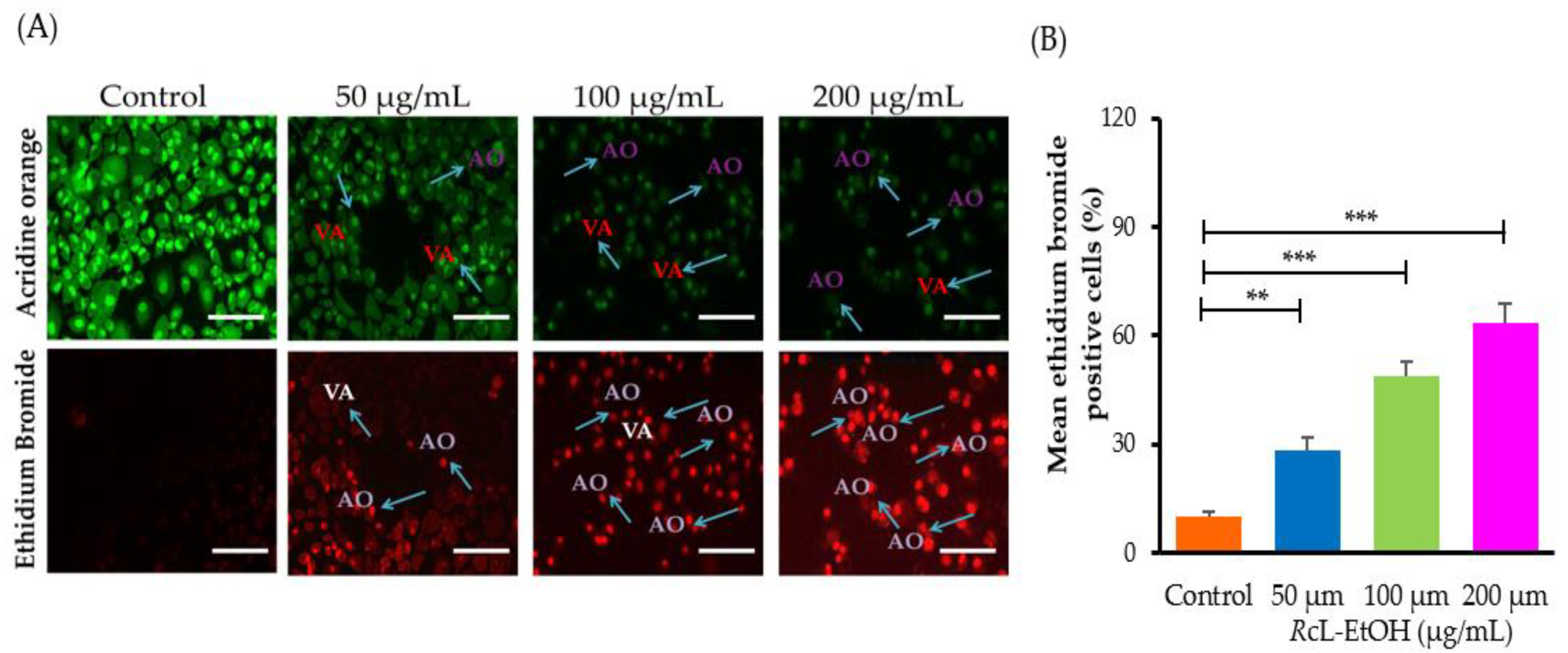 Processes 10 01537 g002