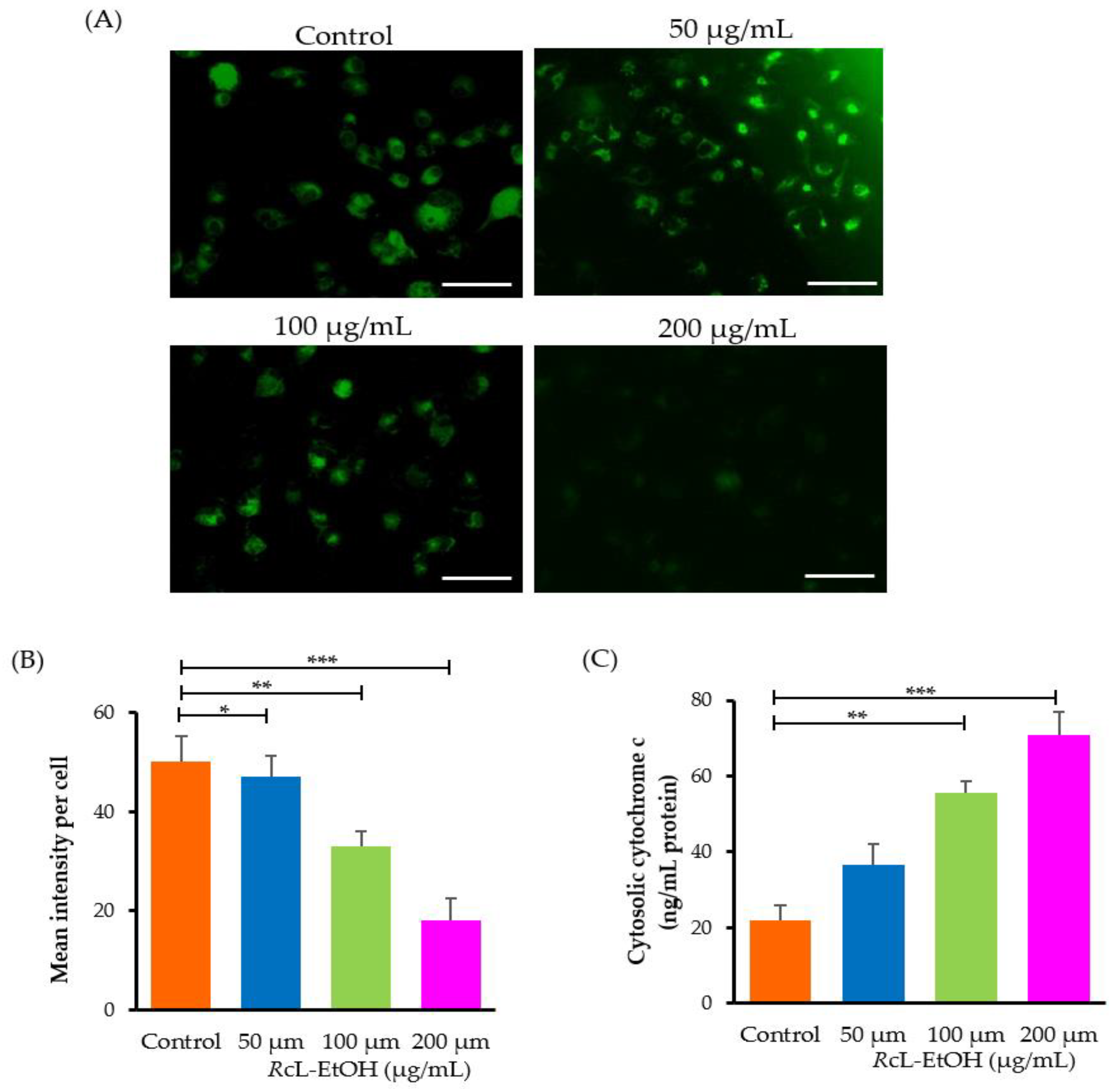 Processes 10 01537 g003