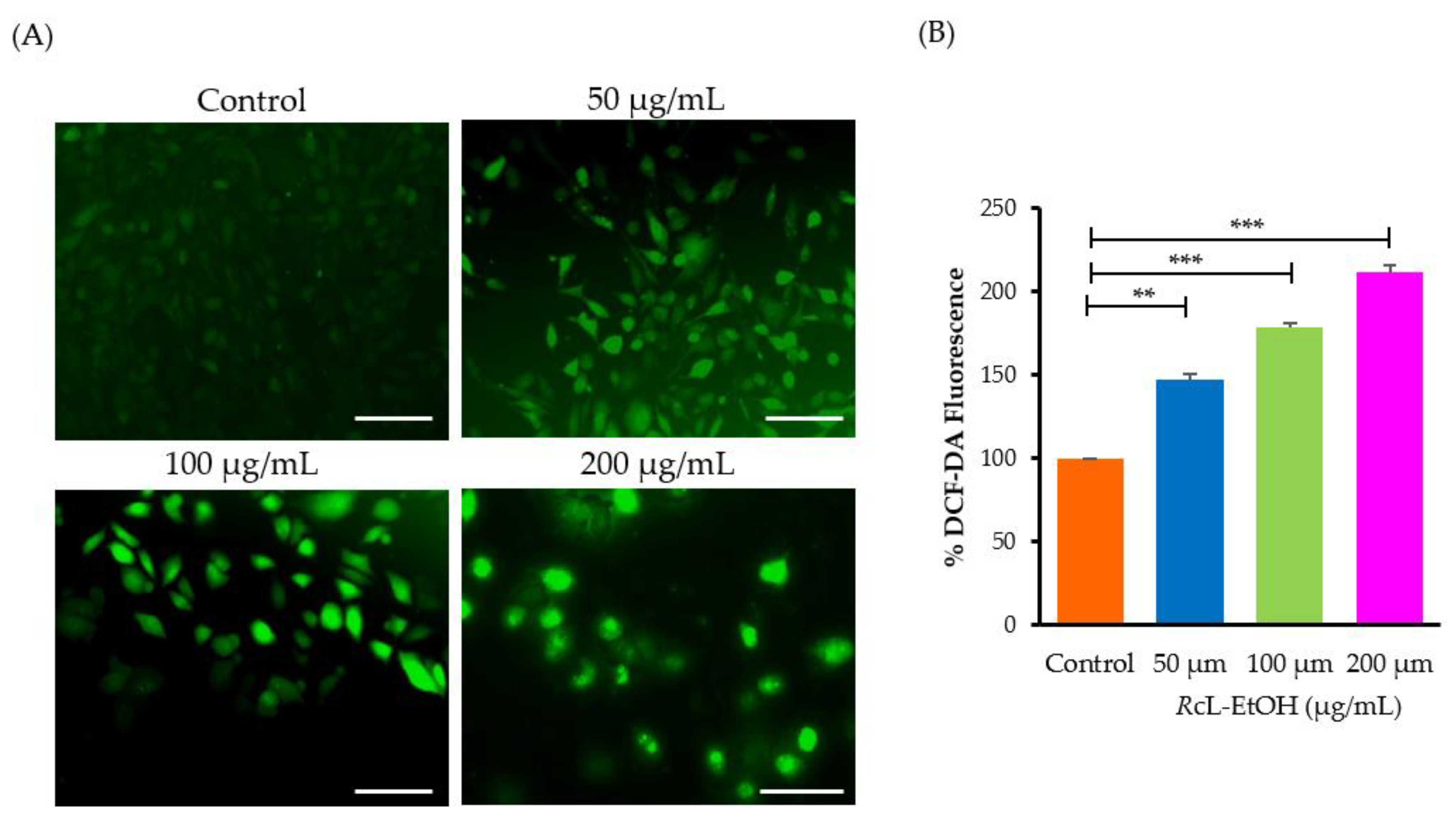 Processes 10 01537 g005