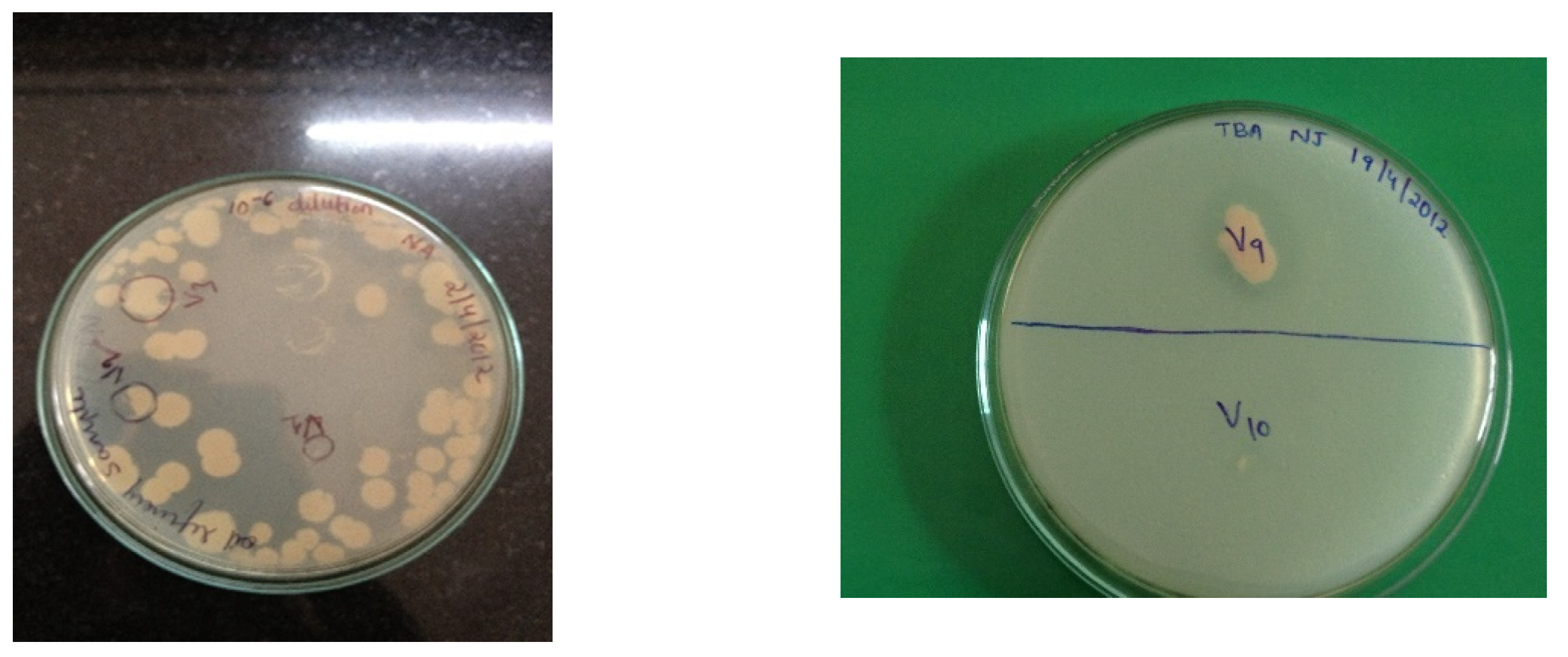 Processes 10 01548 g001