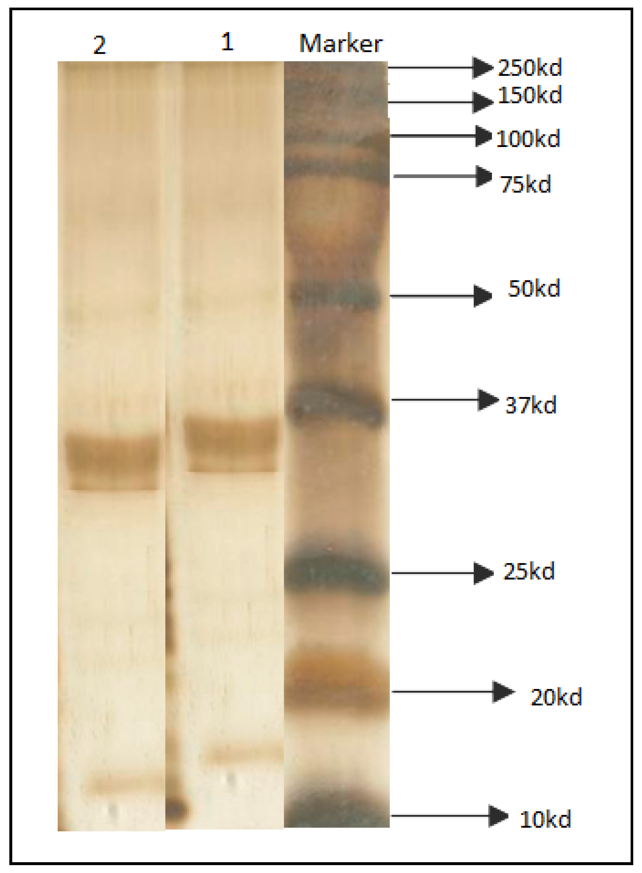 Processes 10 01548 g004