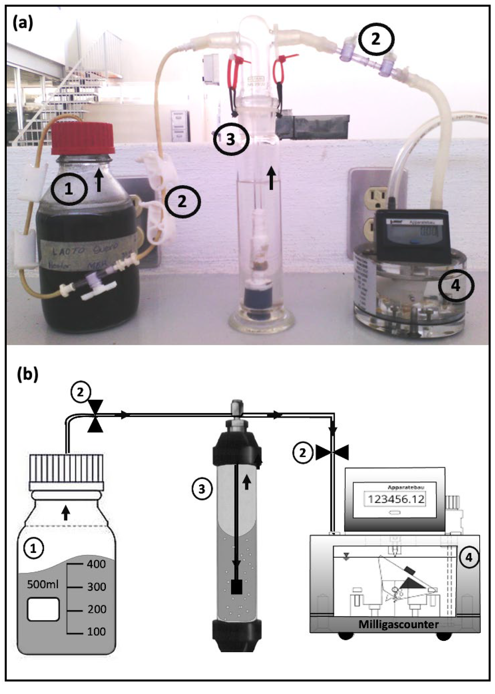 Processes 10 01552 g001
