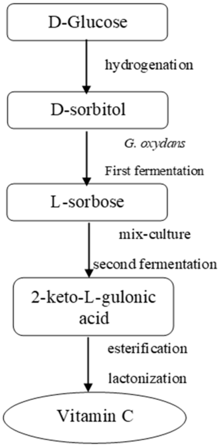 Processes 10 01595 g006 Processes 10 01595 g006