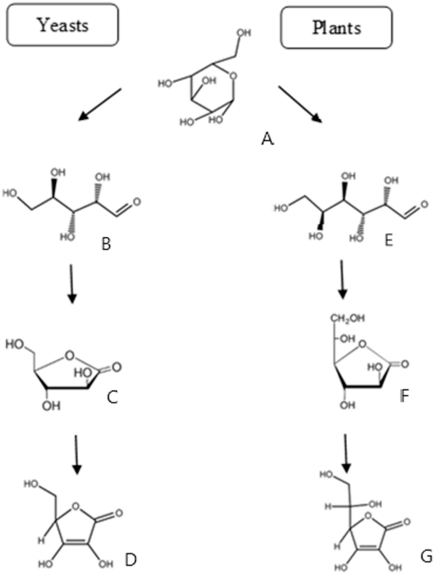 Processes 10 01595 g007 Processes 10 01595 g007