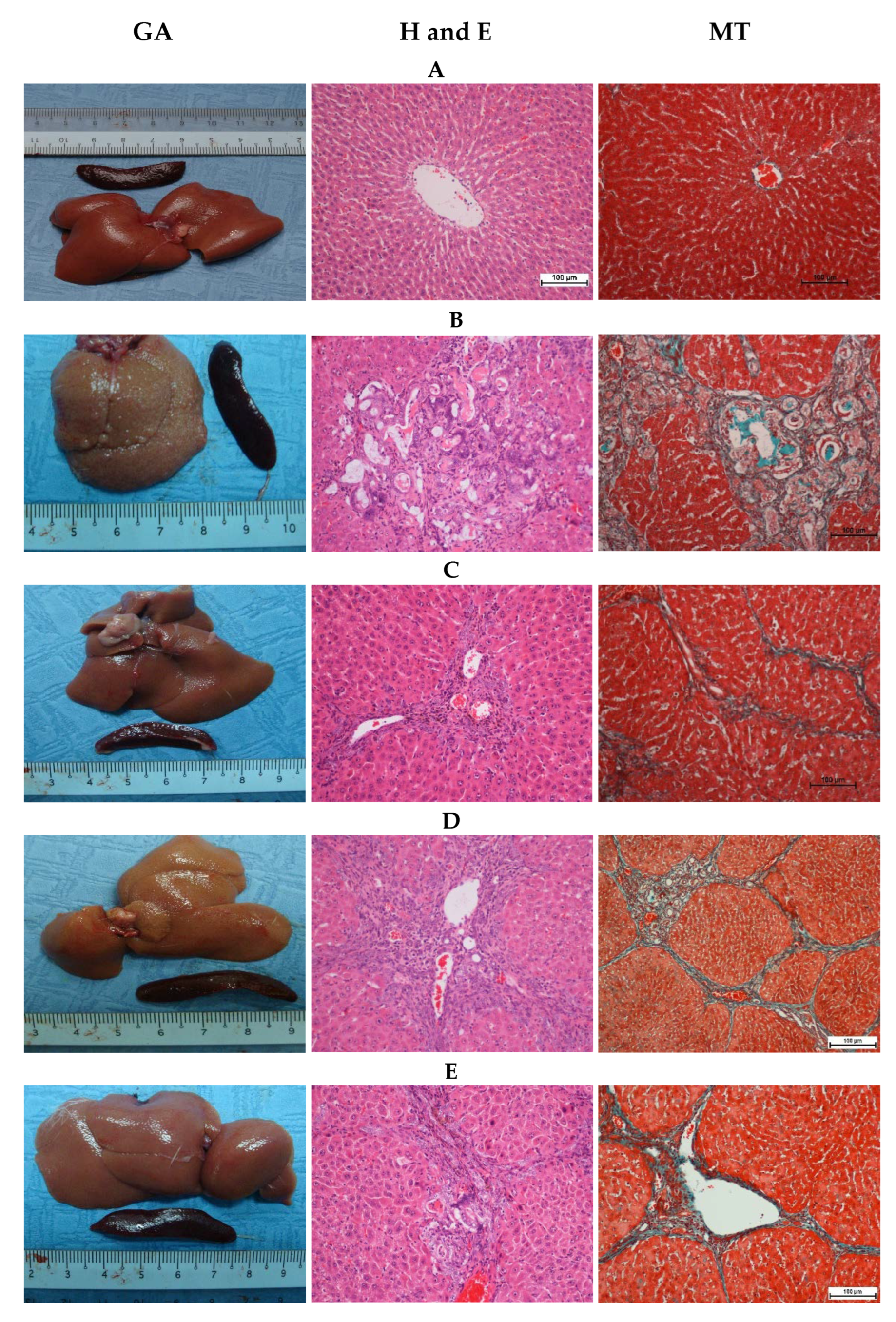 Processes 10 01613 g002