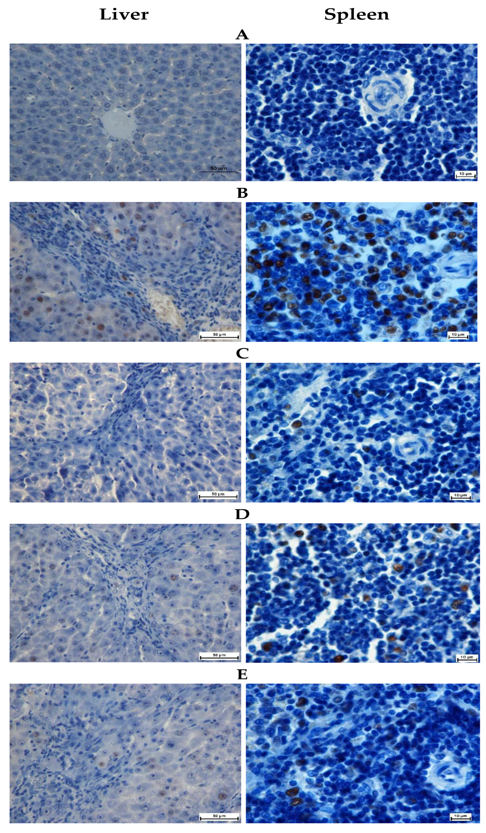 Processes 10 01613 g003