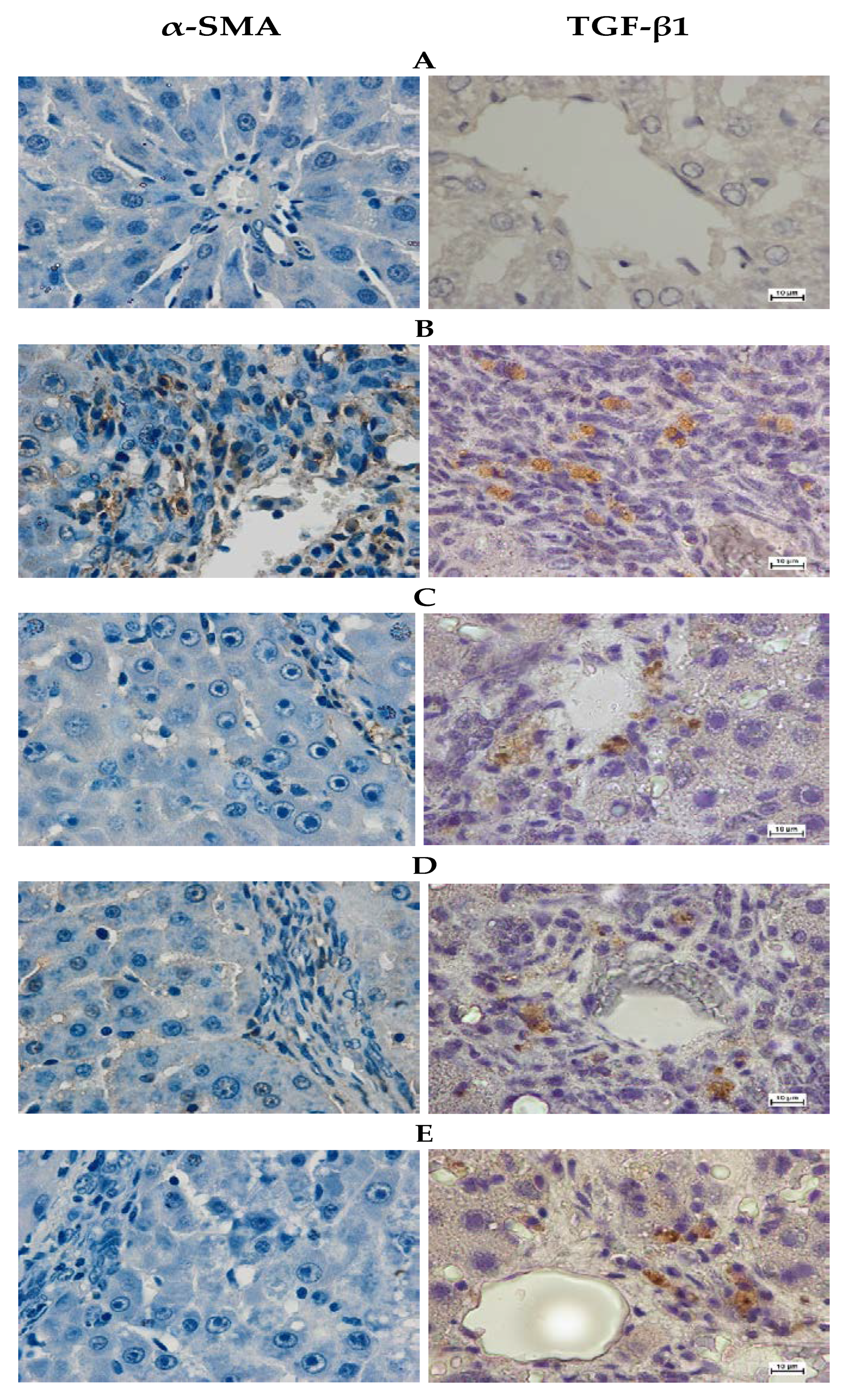 Processes 10 01613 g004