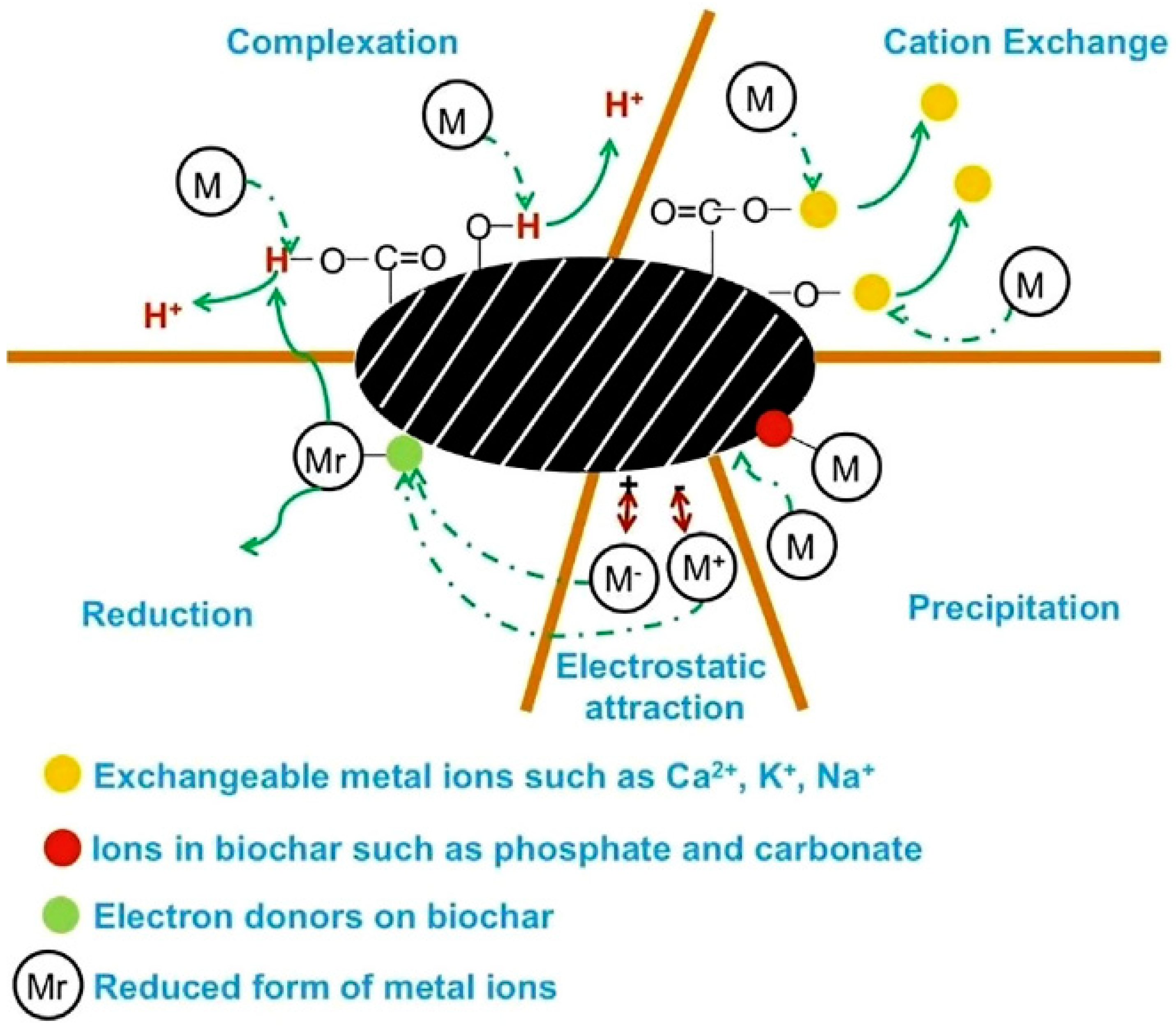 Processes 10 01627 g002