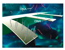 Processes 10 01658 i007