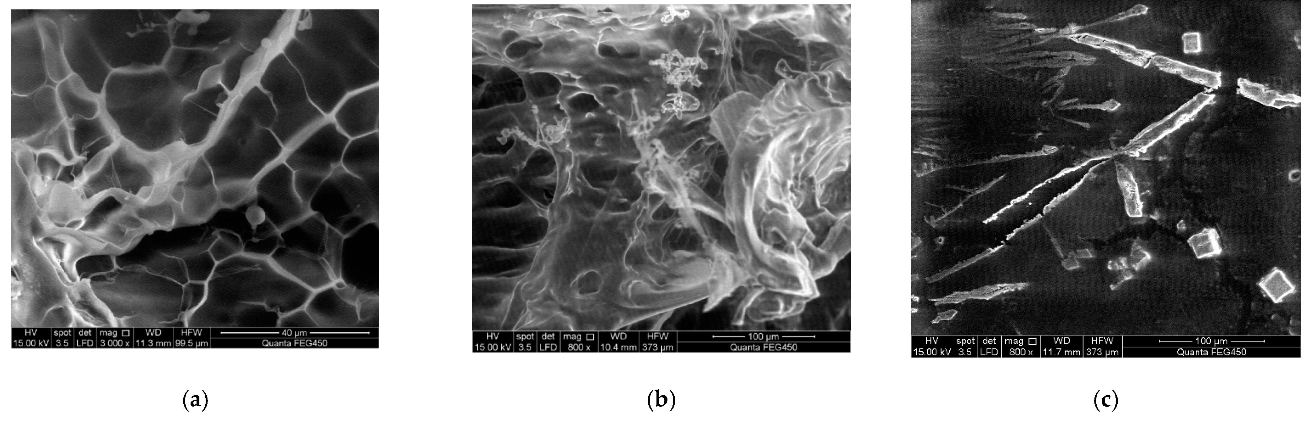 Processes 10 01666 g009