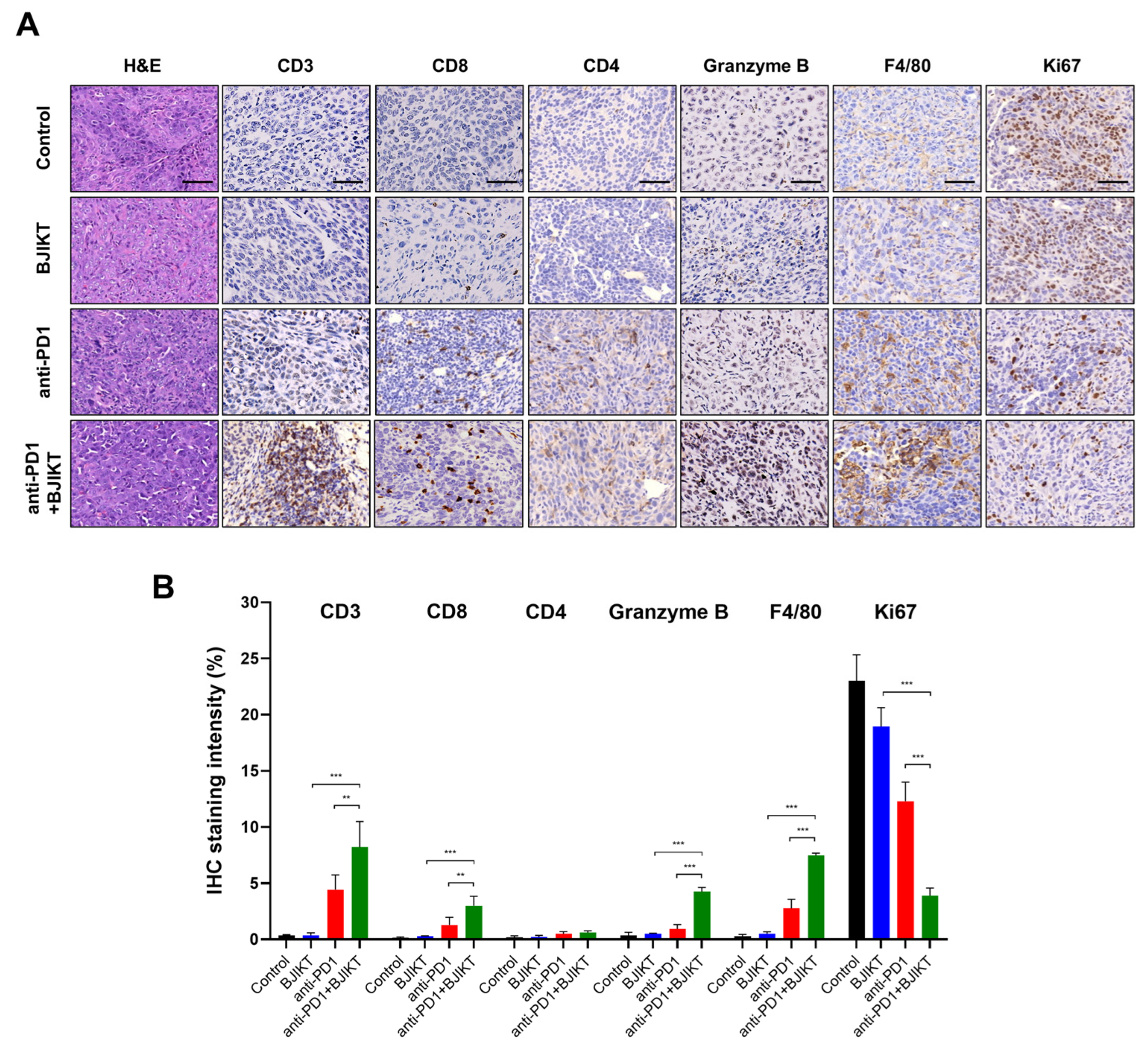 Processes 10 01683 g002