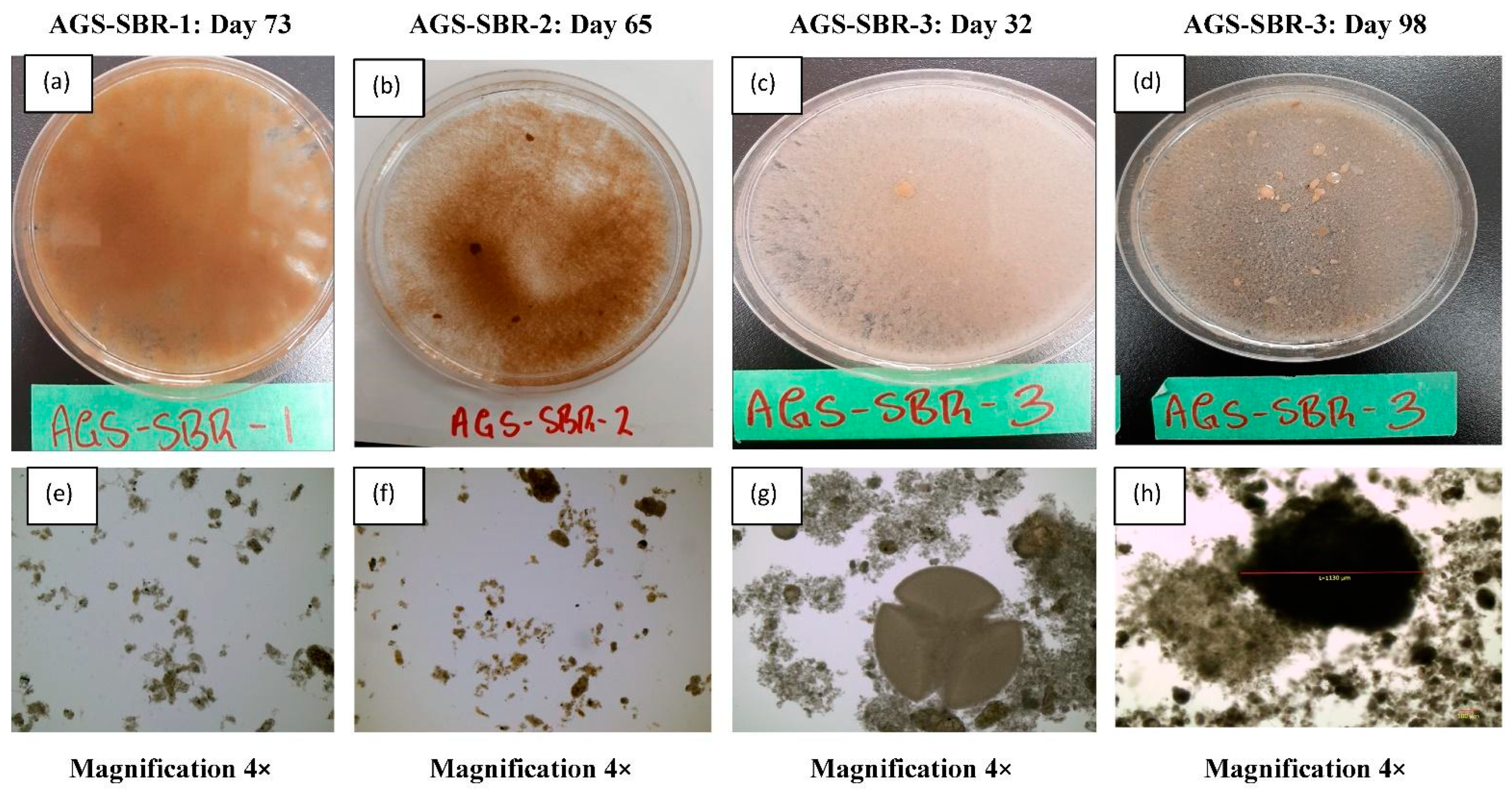 Processes 10 01687 g003