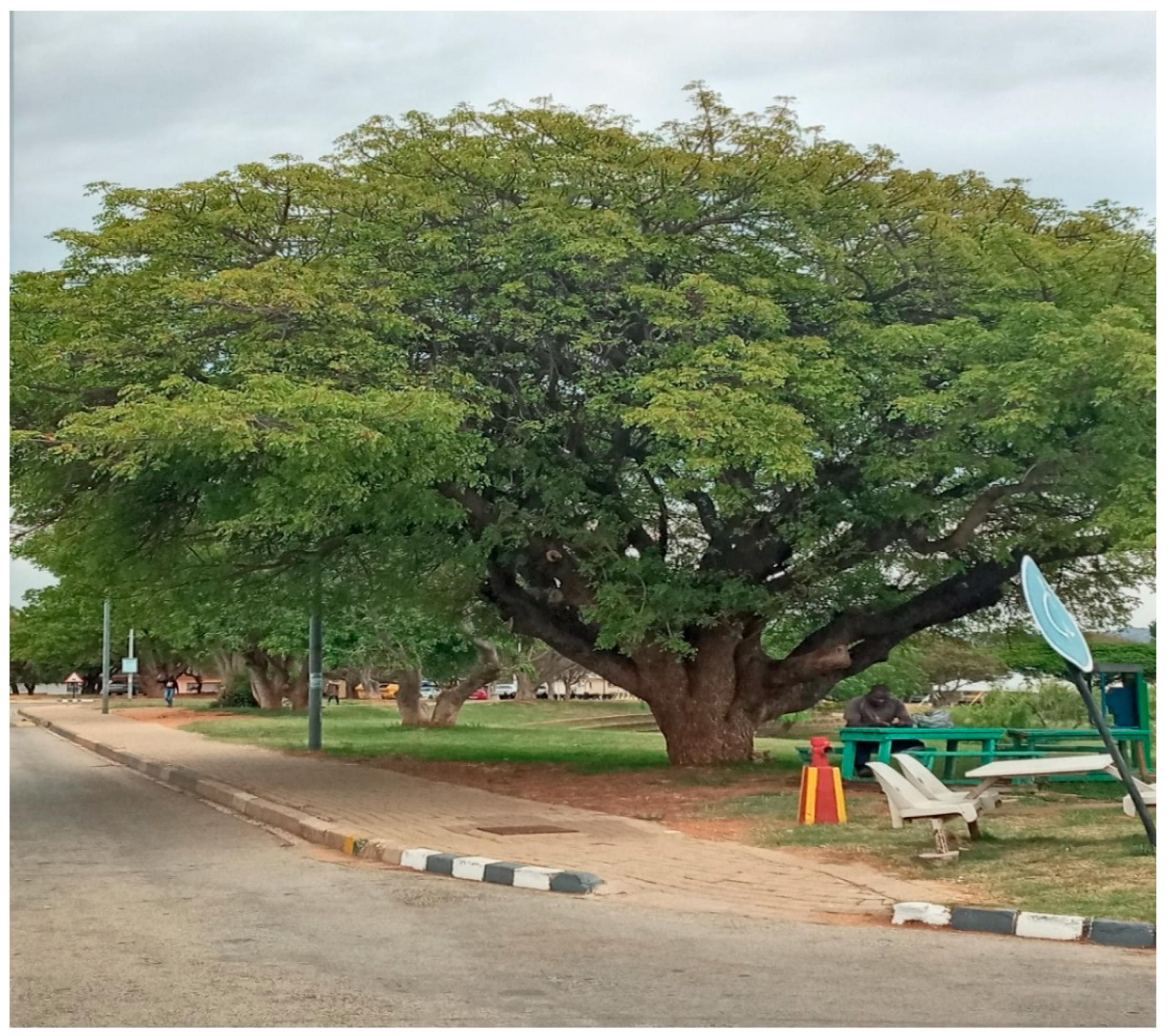 Processes 10 01706 g001