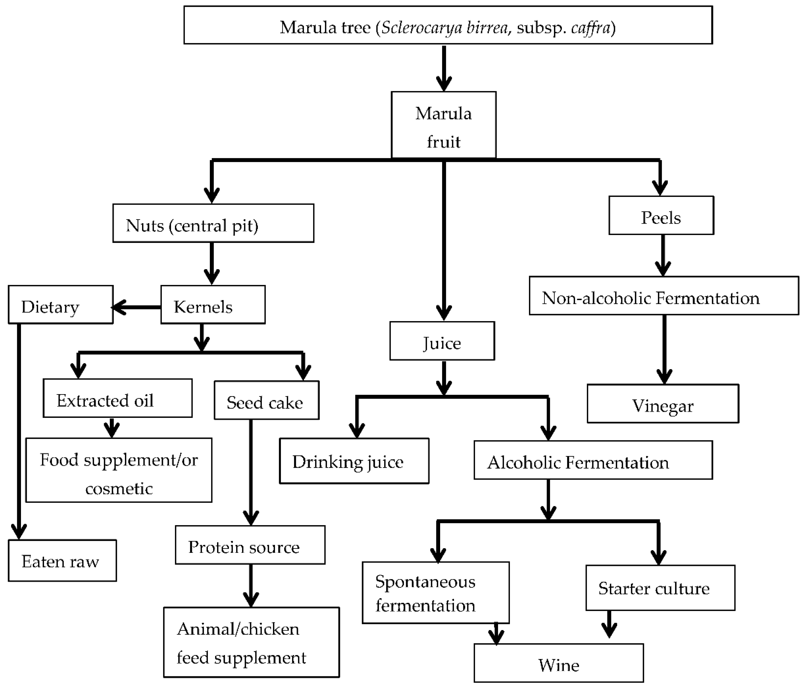 Processes 10 01706 g002