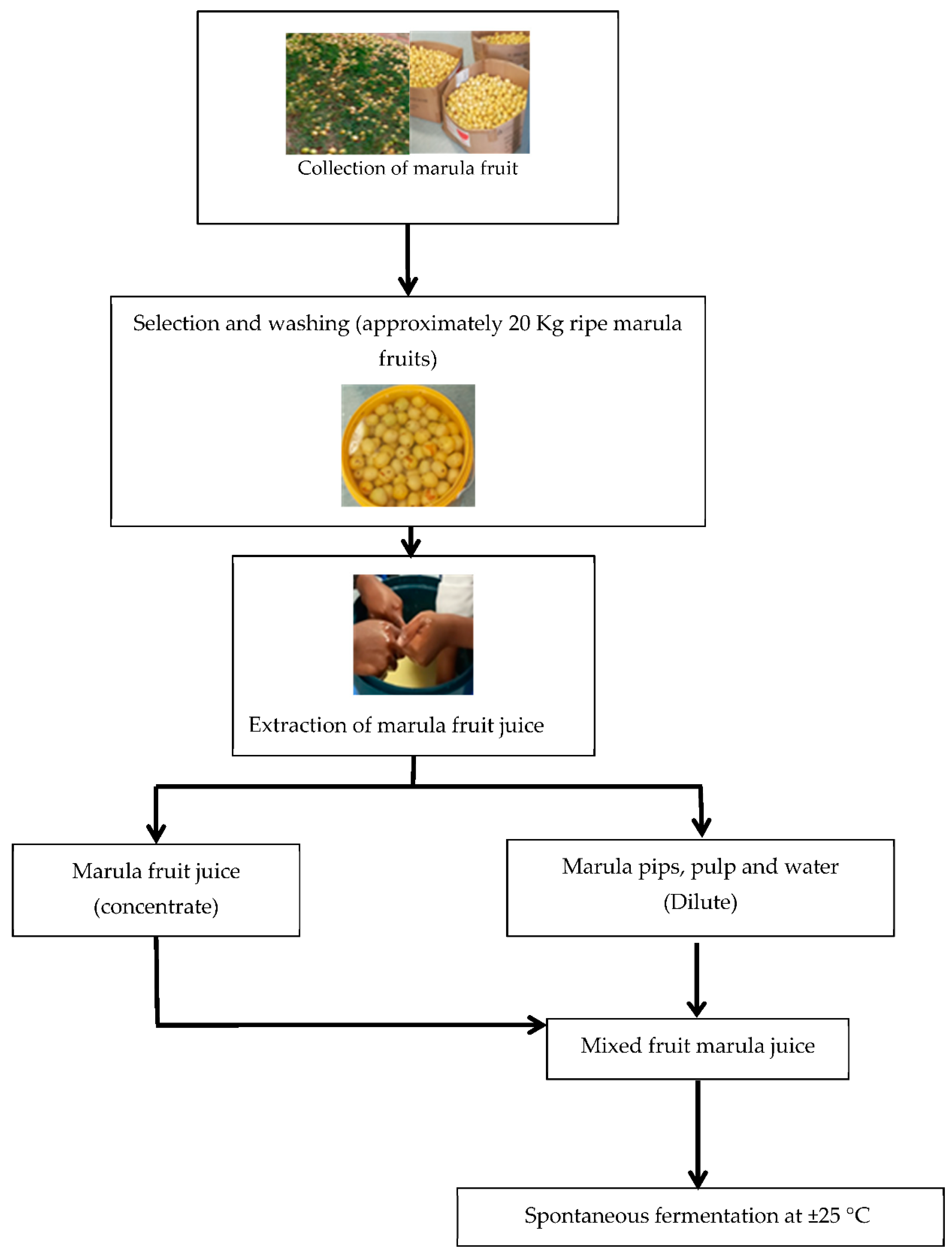 Processes 10 01706 g003