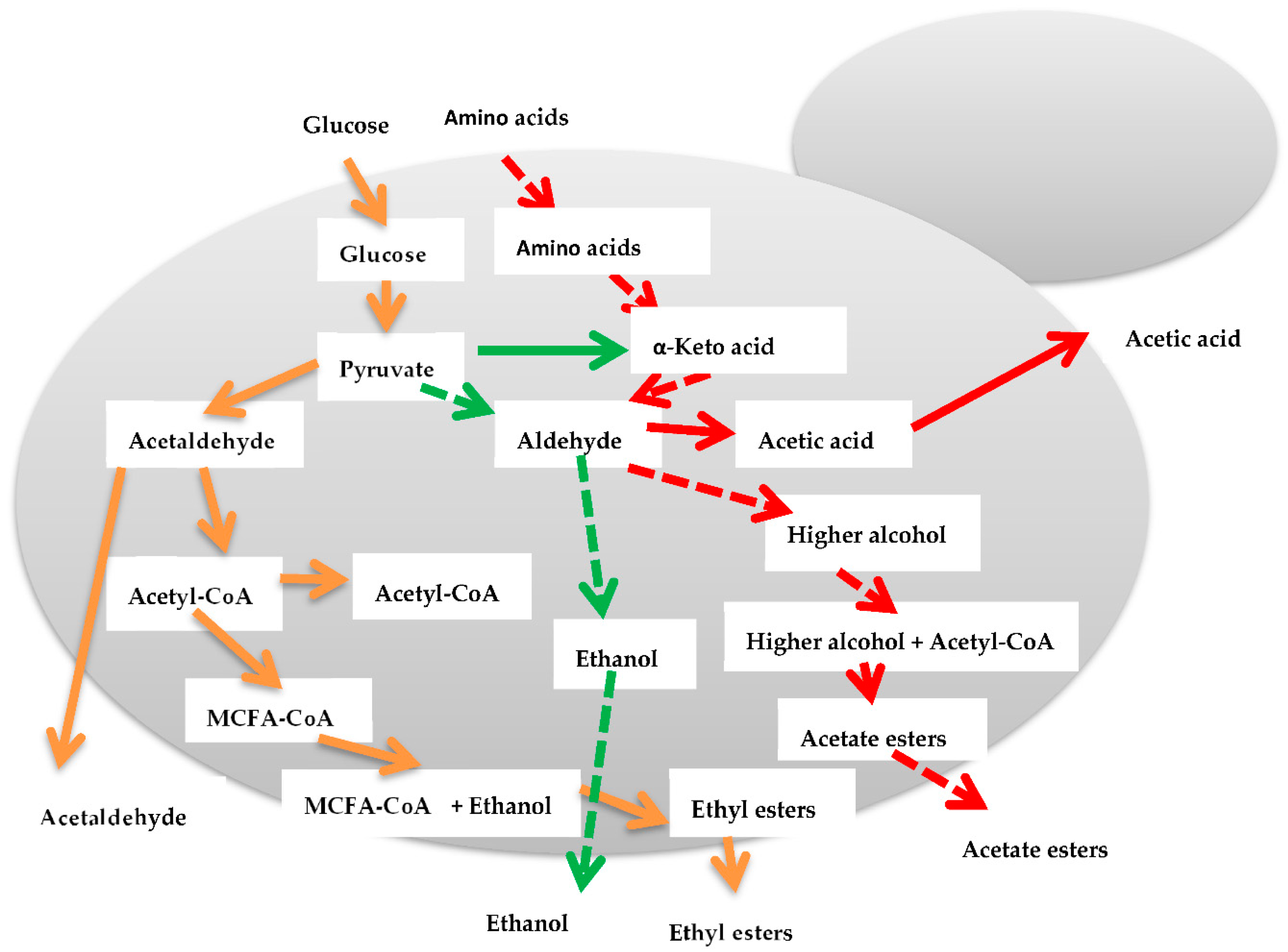 Processes 10 01706 g005