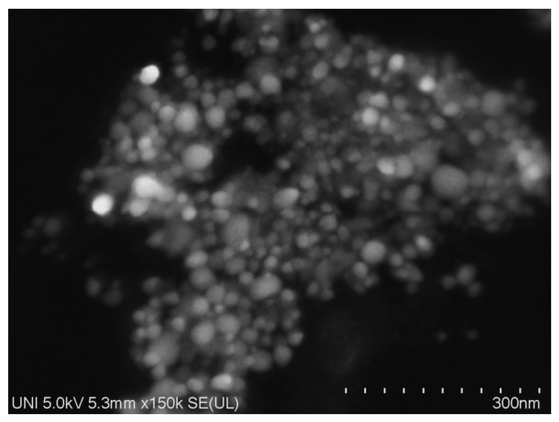 Processes 10 01727 g005