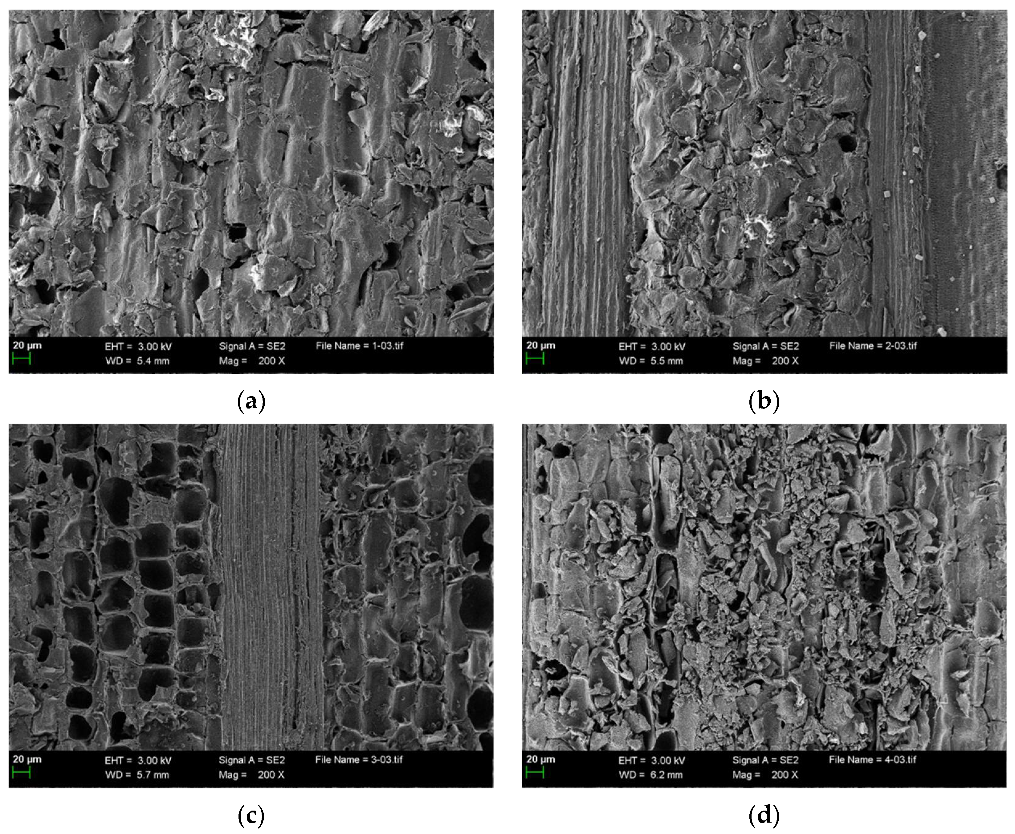 Processes 10 01740 g003a Processes 10 01740 g003a