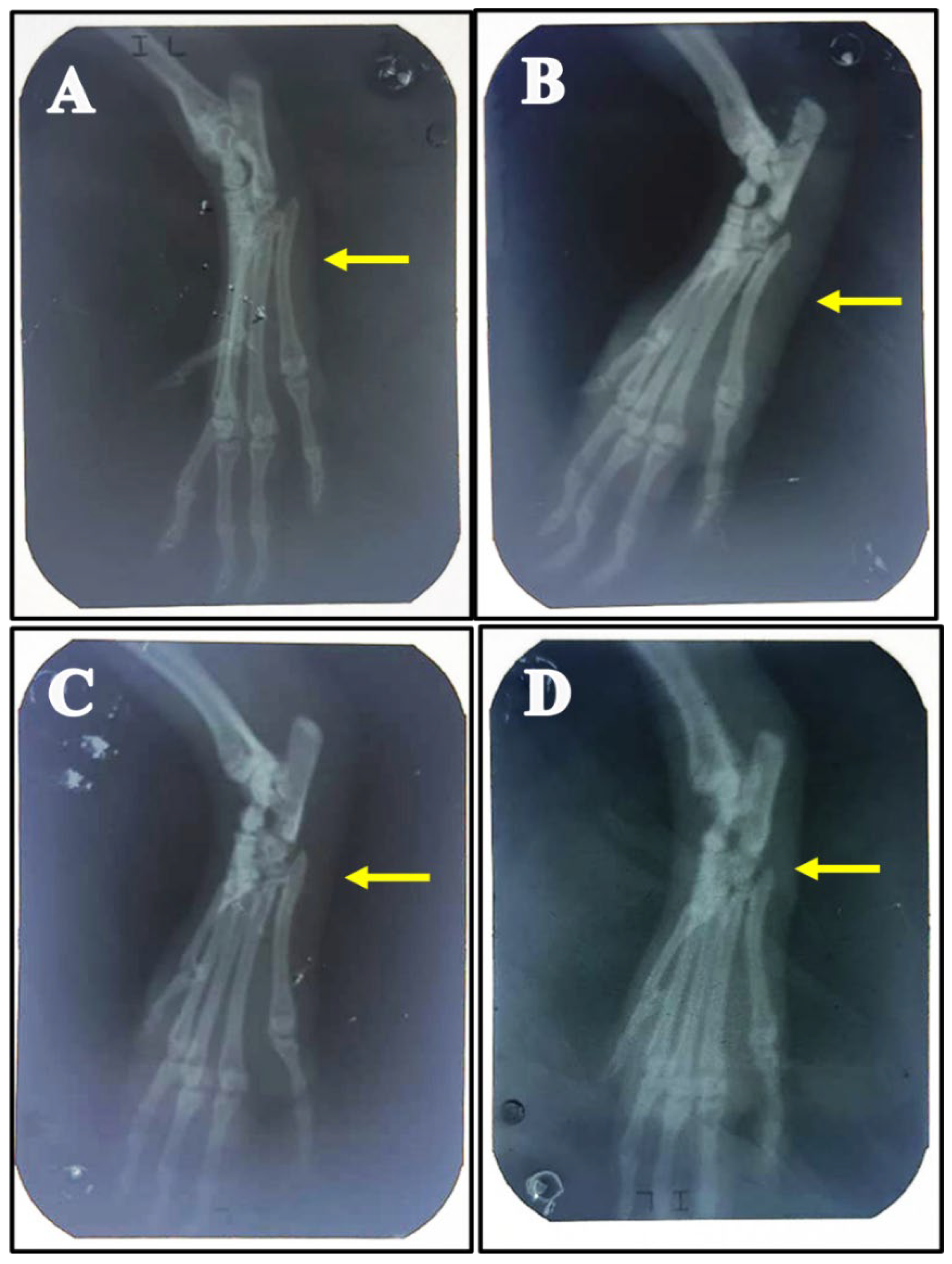 Processes 10 01751 g002